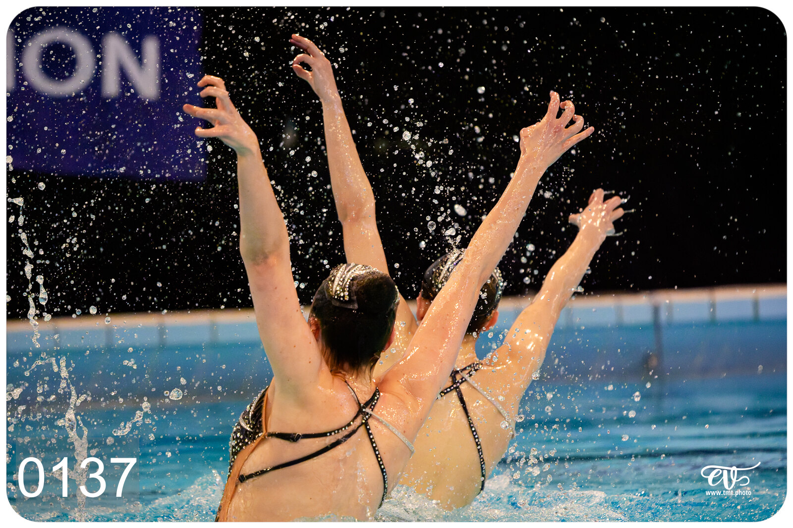 CHAMPIONNAT DE FRANCE DE NATATiON ARTISTIQUE N1 & ELITE 2026